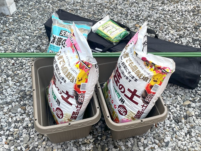 ゴーヤ